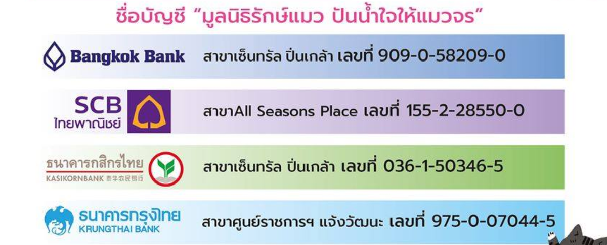 รวมพิกัด บริจาคช่วยหมาแมว ร่วมทำบุญช่วยน้องๆ กัน พฤศจิกายน 2021 