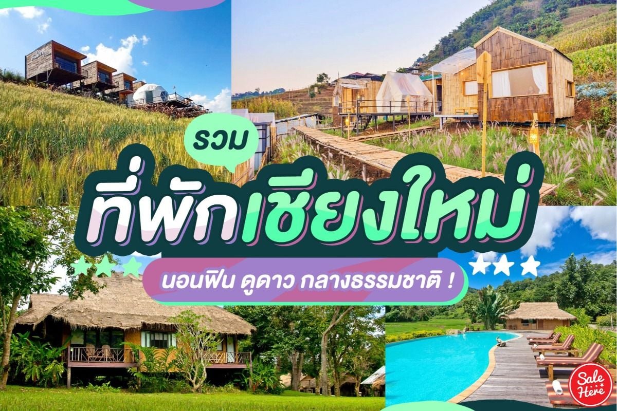 รวม ที่พักเชียงใหม่ นอนฟิน ดูดาว กลางธรรมชาติ ธันวาคม 2021 - Sale Here