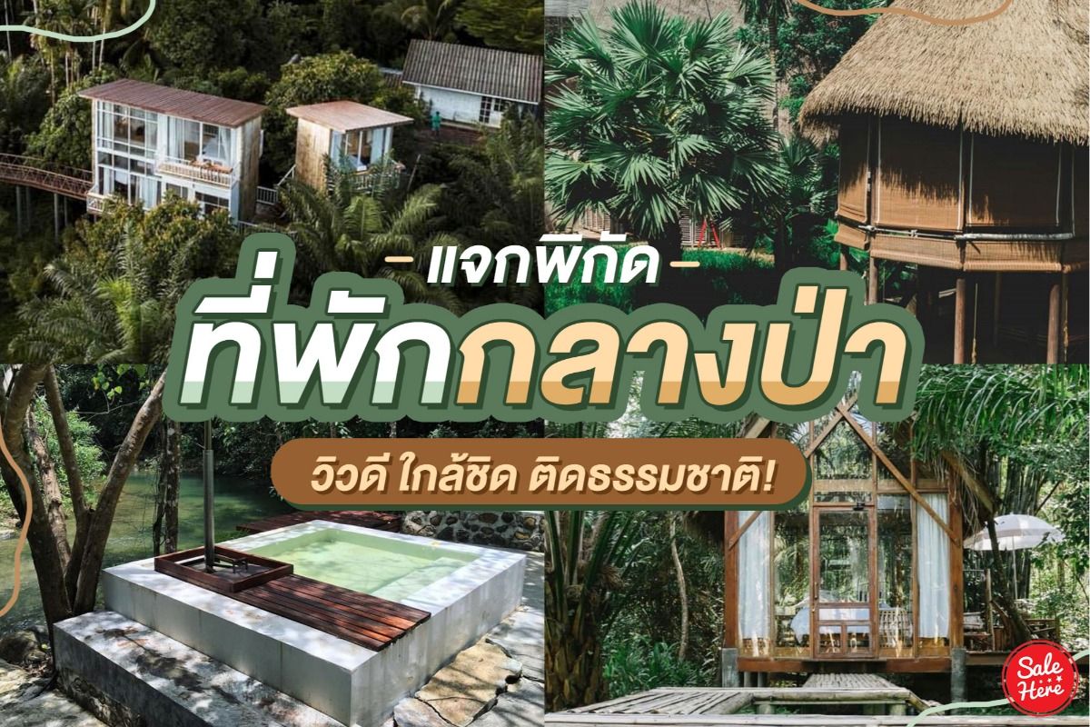 แจกพิกัด ที่พักกลางป่า วิวดี ใกล้ชิด ติดธรรมชาติ ! - Sale Here