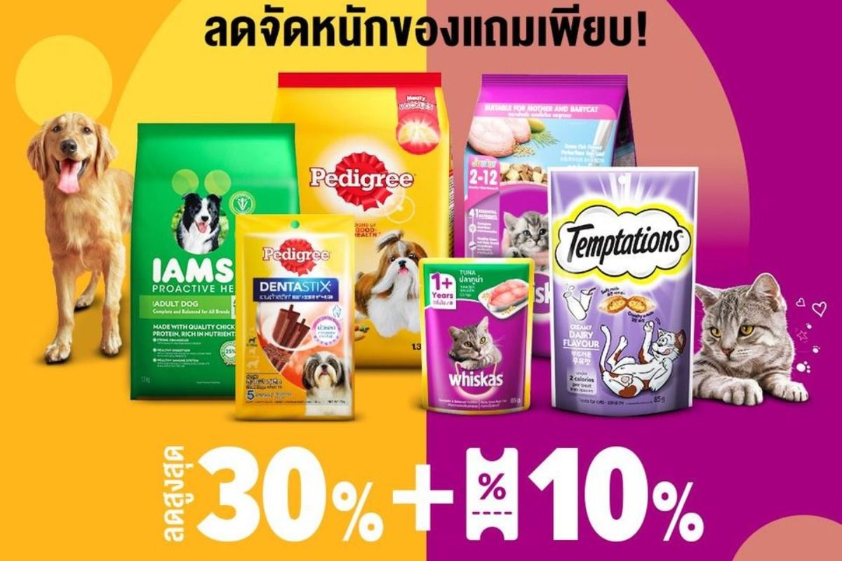 Lazada pedigree best sale