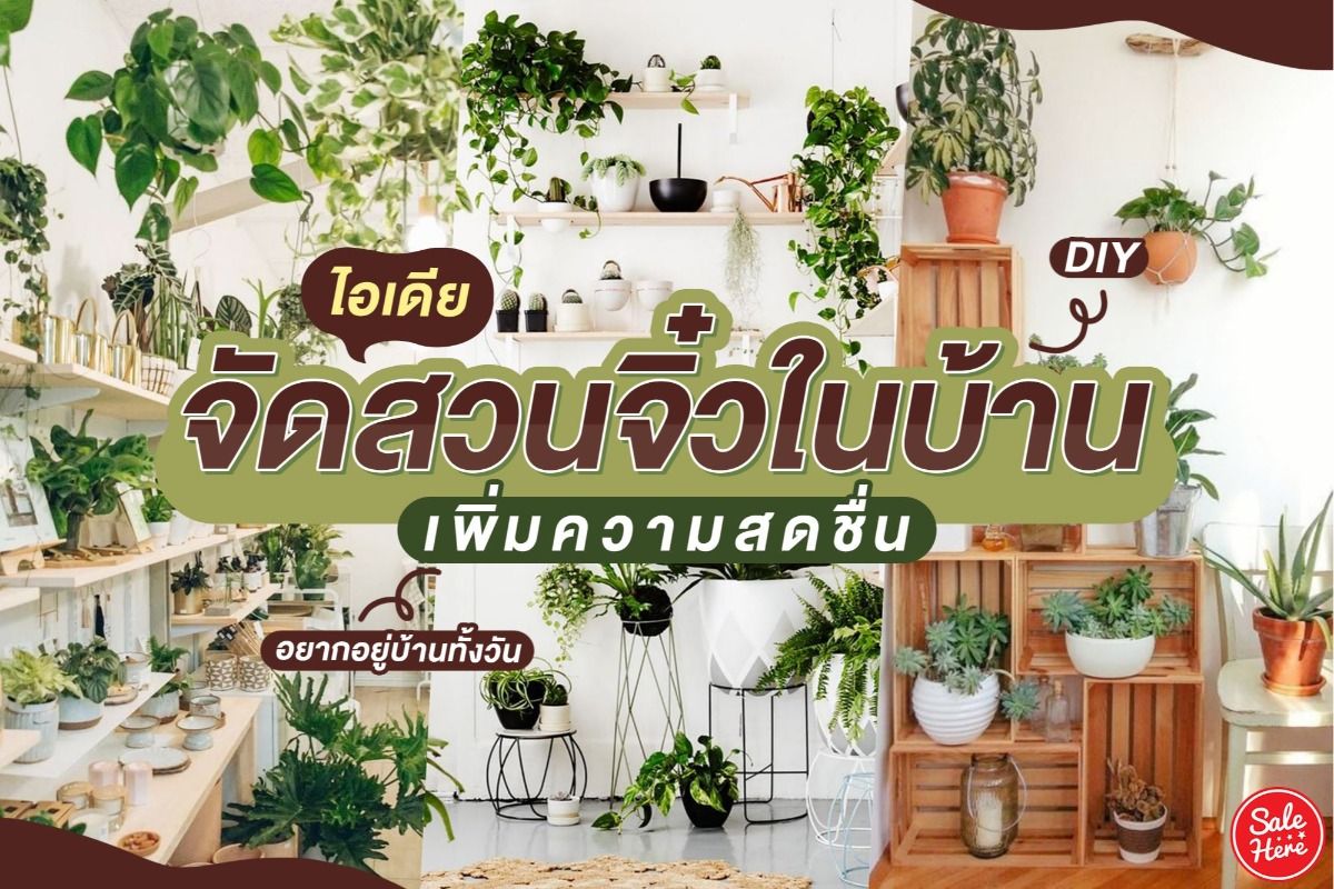 ไอเดีย จัดสวนจิ๋ว แบบ Diy เพิ่มพื้นที่สีเขียว ทำง่ายด้วยตัวเอง - Sale Here