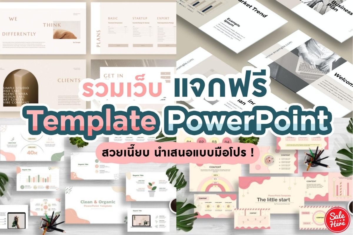 แจกฟรี เทมเพลต Powerpoint แต่งสไลด์สวยแบบมือโปร ! มีนาคม 2023 - Sale Here