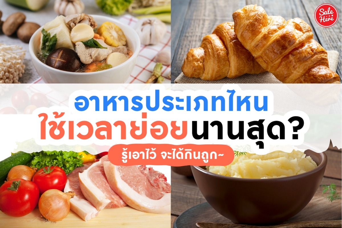 รู้ไหม อาหารประเภทไหน ใช้เวลาย่อยนานสุด? กรกฎาคม 2023 - Sale Here