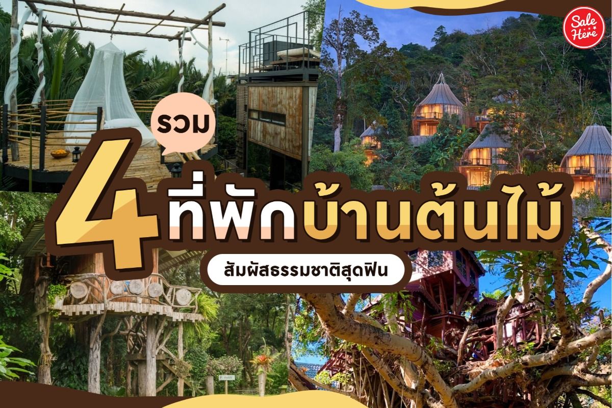 รวม 4 ที่พักบ้านต้นไม้ สัมผัสธรรมชาติสุดฟิน มิถุนายน 2021 - Sale Here