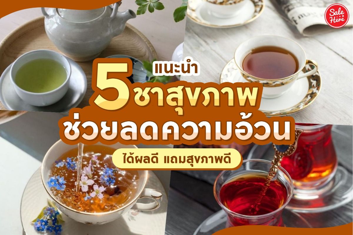 แนะนำ 5 ชาลดความอ้วน ได้ผลดีไม่ส่งผลเสียต่อสุขภาพ กันยายน 2021 - Sale Here