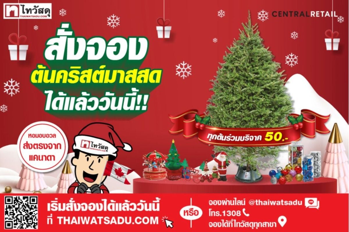 ไทวัสดุ เปิดจองต้นคริสต์มาส เริ่มต้นเพียง 5,780.- มิถุนายน 2023 - Sale Here