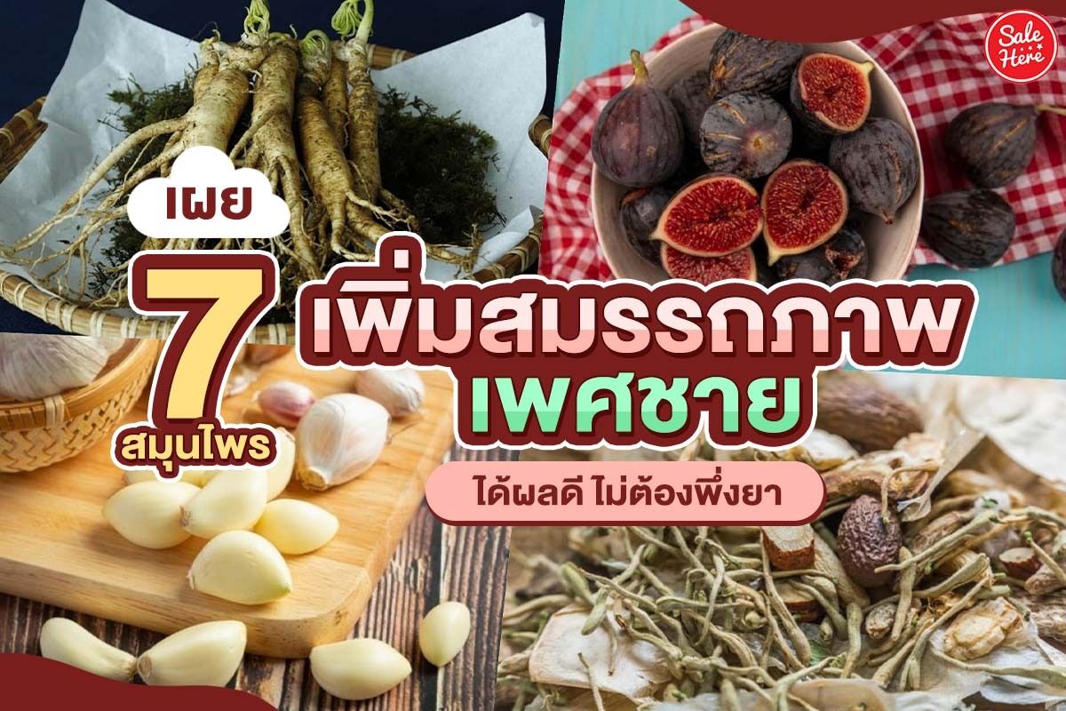 เผย 7 สมุนไพรเพิ่มสมรรถภาพเพศชาย ได้ผลดี ไม่ต้องพึ่งยา พฤศจิกายน 2021 -  Sale Here