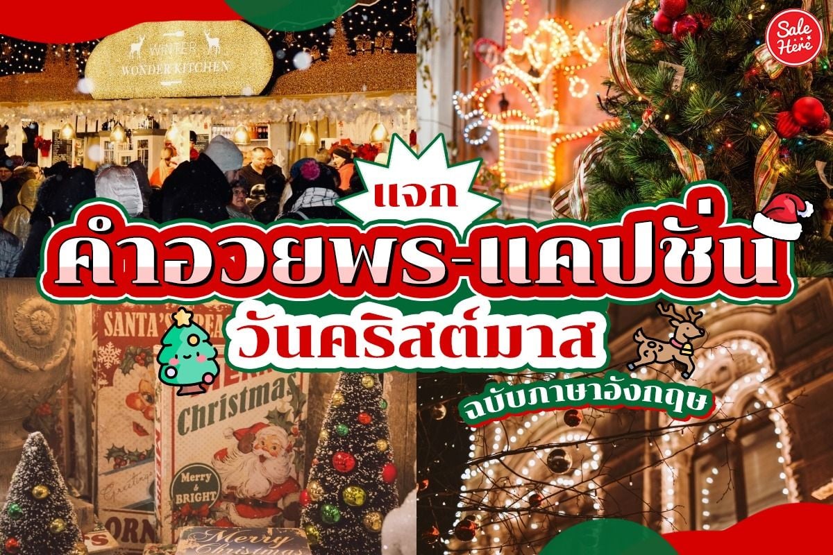 แจก คำอวยพร-แคปชั่น วันคริสมาสต์ ฉบับภาษาอังกฤษ ธันวาคม 2021 - Sale Here