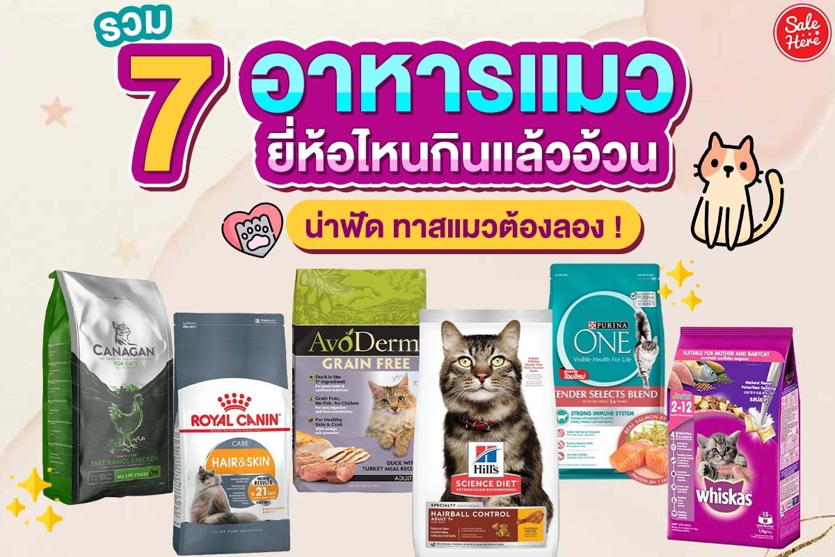 รวม 7 อาหารแมวยี่ห้อไหนกินแล้วอ้วน น่าฟัด ทาสแมวต้องลอง ! ธันวาคม 2021 -  Sale Here