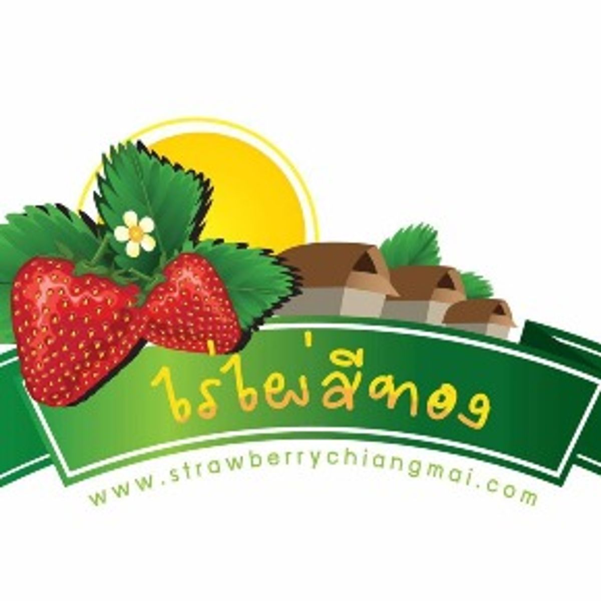 โปรโมชั่น ส่วนลด Paiseetong Strawberry Farm ไร่สตรอเบอรี่ไผ่สีทอง อัพเดท  มิถุนายน 2023 - Sale Here