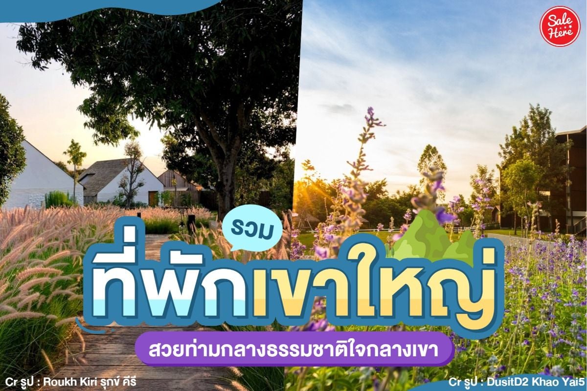 รวม ที่พักเขาใหญ่ สวยท่ามกลางธรรมชาติใจกลางเขา มกราคม 2022 - Sale Here