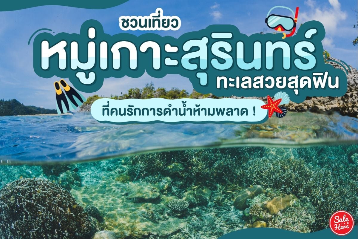 หมู่เกาะสุรินทร์ ไปยังไง: สารคดีที่ต้องรู้ Seน้องนกกับ3บาสับล้างRstimations