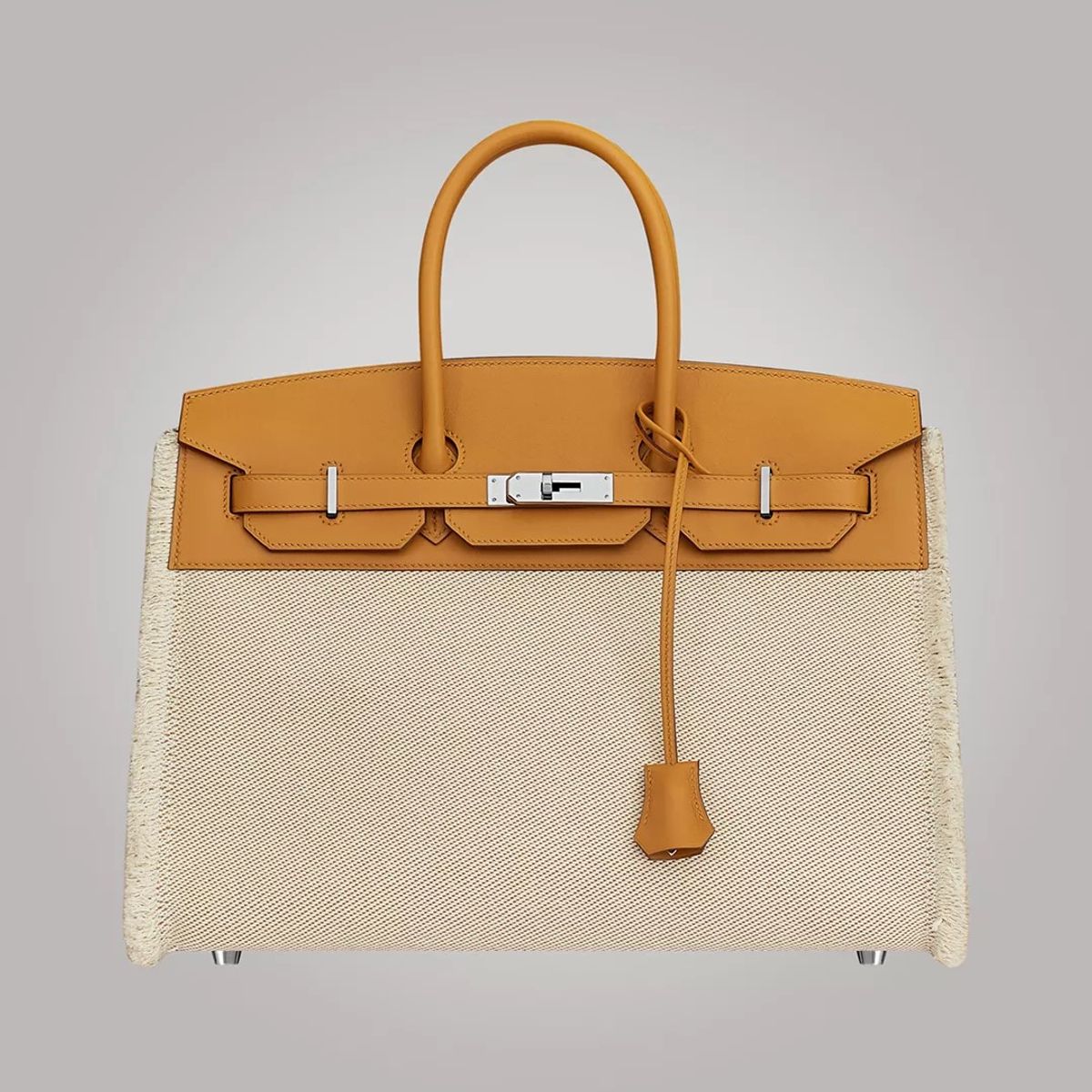 กระเป๋า Hermès Birkin
