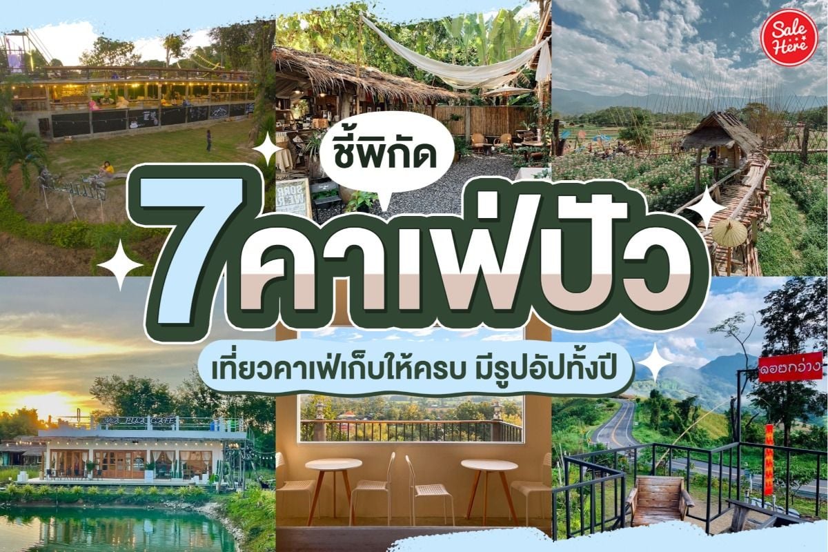 ชี้พิกัด 7 คาเฟ่ปัว เที่ยวคาเฟ่เก็บให้ครบ มีรูปอัปทั้งปี กุมภาพันธ์ 2022 -  Sale Here