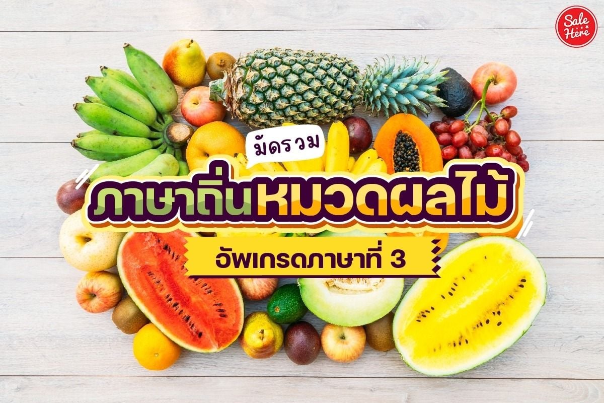 มัดรวม ภาษาถิ่นหมวดผลไม้ อัพเกรดภาษาที่ 3 กรกฎาคม 2023 - Sale Here