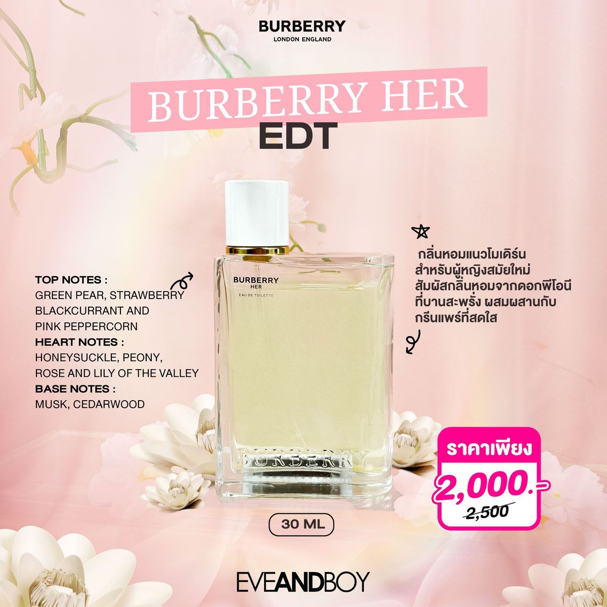 burberry her eveandboy