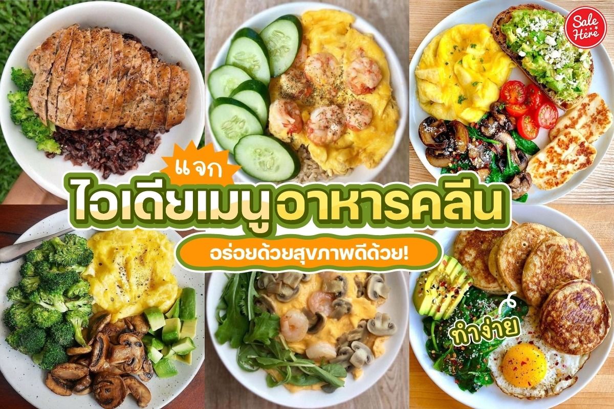 แจก ไอเดียเมนูอาหารคลีน ทำง่าย อร่อยด้วยสุขภาพดีด้วย! พฤศจิกายน 2023 - Sale  Here