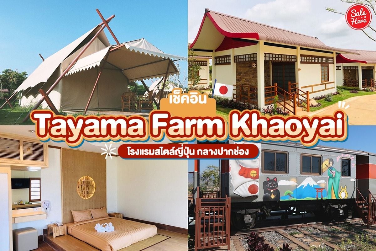 เช็คอิน Tayama Farm Khaoyai โรงแรมสไตล์ญี่ปุ่น กลางปากช่อง กรกฎาคม 2022 -  Sale Here