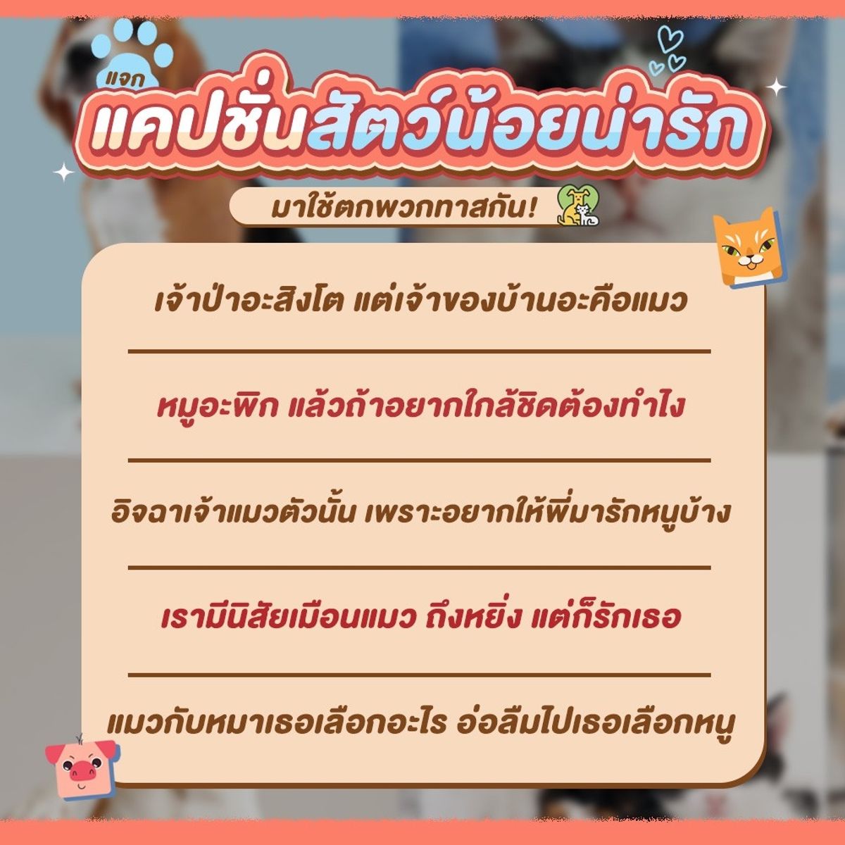 แจก 30 แคปชั่นสัตว์น้อยน่ารัก มาใช้ตกพวกพาสกัน! พฤศจิกายน 2023 - Sale Here