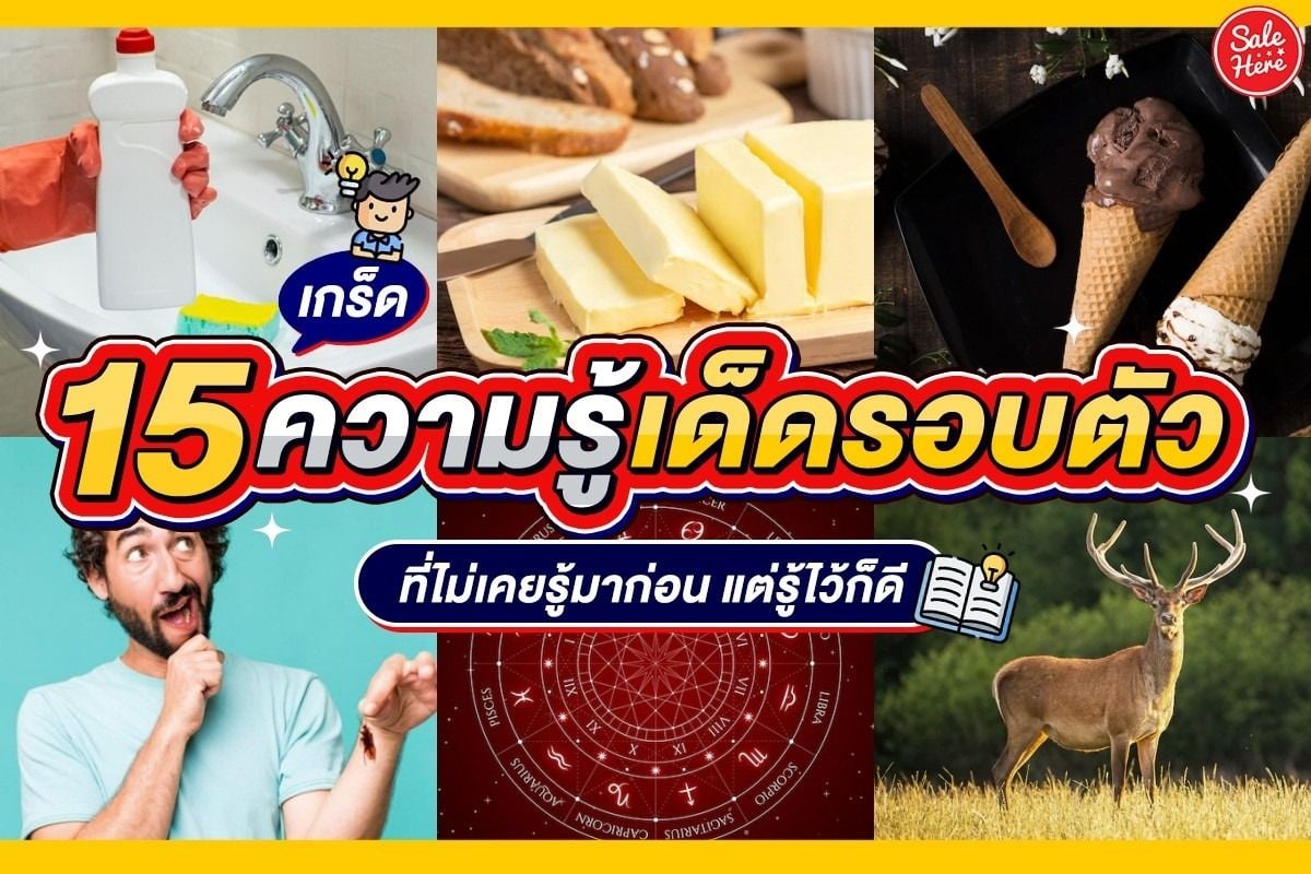 รวม 15 เกร็ดความรู้รอบตัว ที่ไม่รู้มาก่อน แต่รู้ไว้ก็ดี กรกฎาคม 2023 - Sale  Here