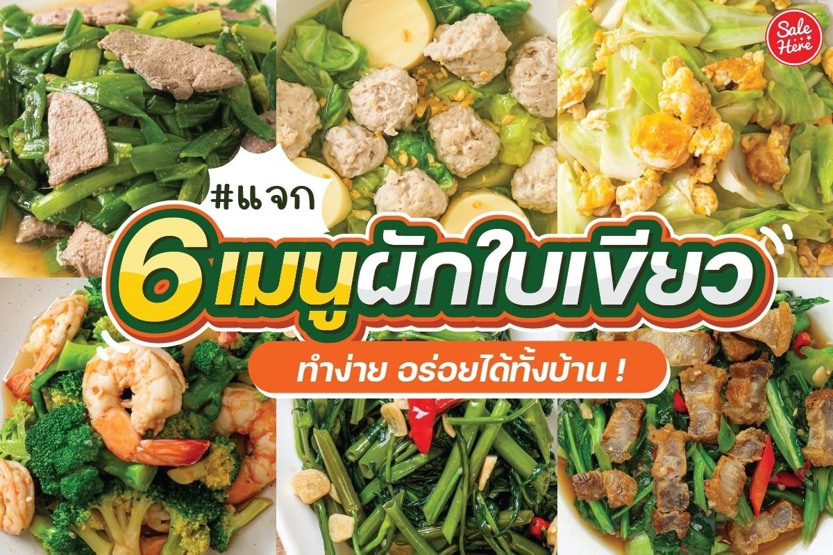 แจก 6 เมนูผักใบเขียว ทำง่าย อร่อยได้ทั้งบ้าน กันยายน 2022 - Sale Here