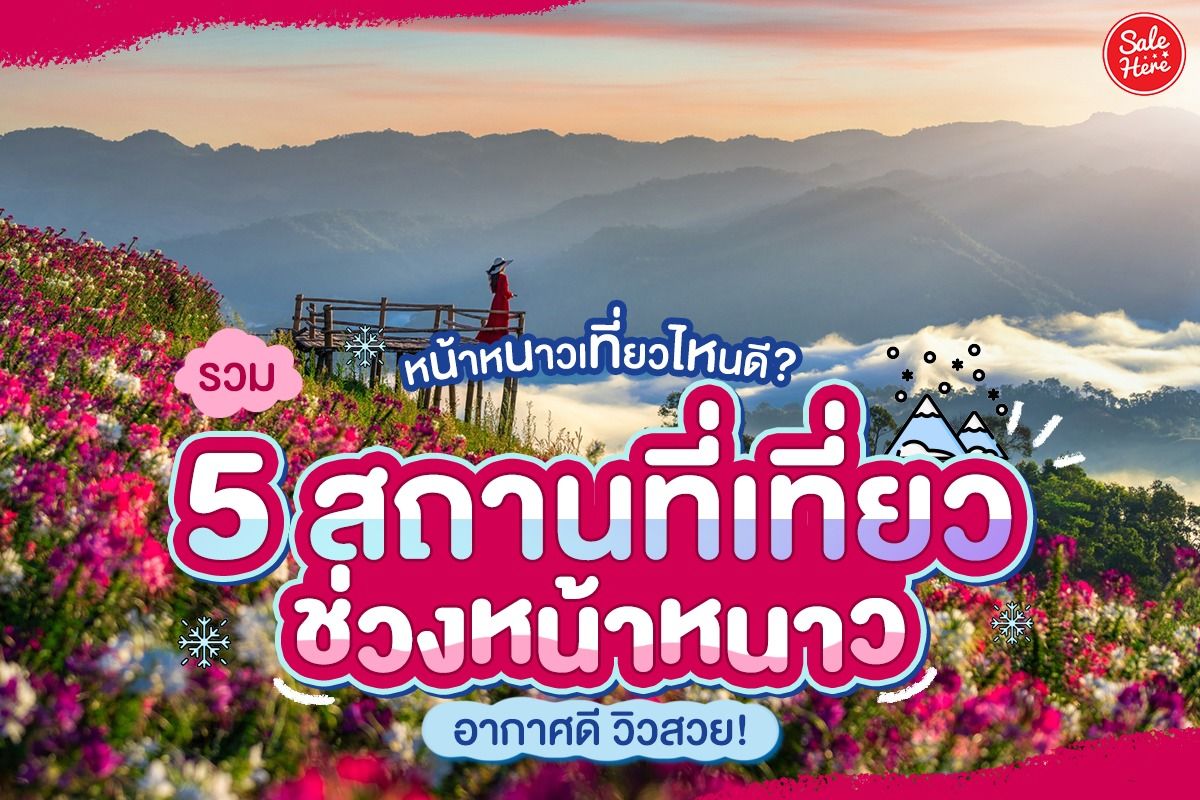 หน้าหนาวเที่ยวไหนดี? รวม 5 สถานที่เที่ยวช่วงหน้าหนาว อากาศดี วิวสวย! ตุลาคม  2022 - Sale Here