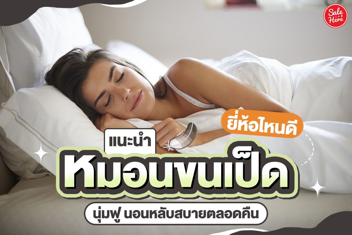 แนะนำ หมอนขนเป็ด ยี่ห้อไหนดี นุ่มฟู นอนหลับสบายตลอดคืน - Sale Here