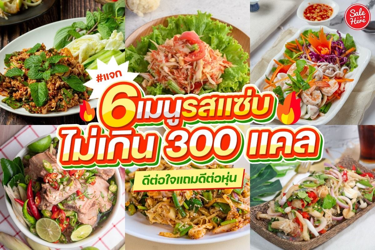 แจก 6 เมนูรสแซ่บ ไม่เกิน 300 แคล ดีต่อใจแถมดีต่อหุ่น - Sale Here