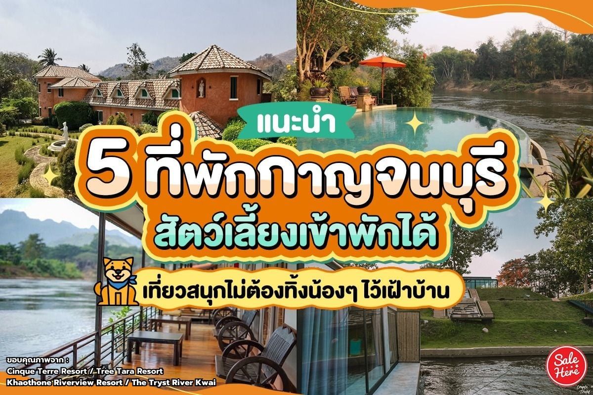 แนะนำ 5 ที่พักกาญจนบุรี สัตว์เลี้ยงเข้าพักได้ เที่ยวสนุกไม่ต้องทิ้งน้องๆ  ไว้เฝ้าบ้าน มิถุนายน 2023 - Sale Here