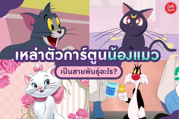 à¸à¸²à¸£ à¸• à¸™à¹à¸¡à¸§