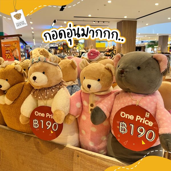 Teddy house shop central world