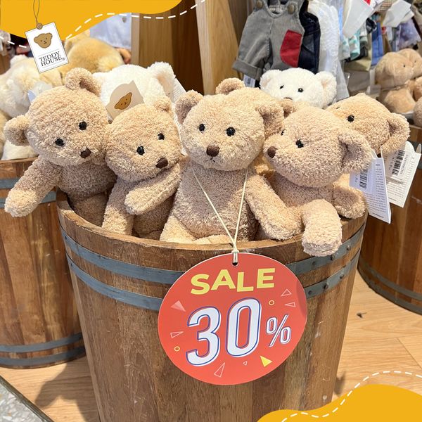 Teddy house central best sale world